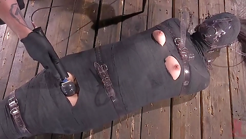 Mailf & facia dragonlilys